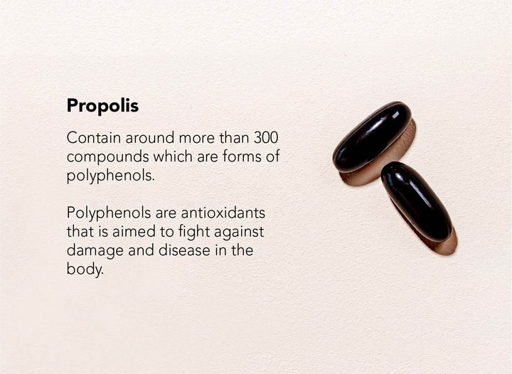 Propolis contain around more than 300 compounds which are forms of polyphenols. Polyphenols are antioxidants that is aimed to fight against damage and disease in the body | 2nutri Propolis 4000
